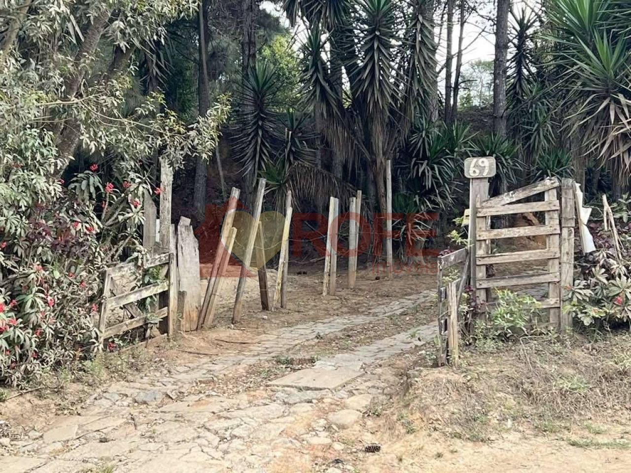 Foto 7 - RF33735