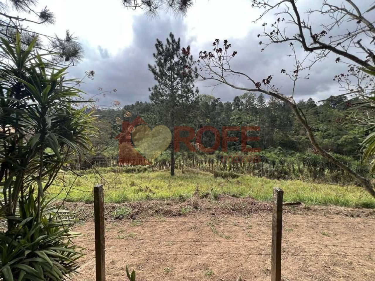 Foto 8 - RF33735