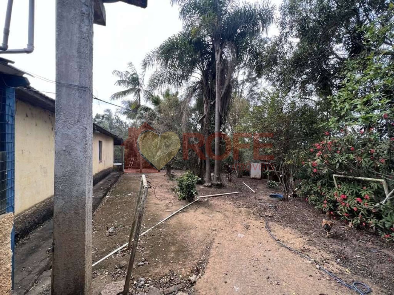 Foto 18 - RF33735