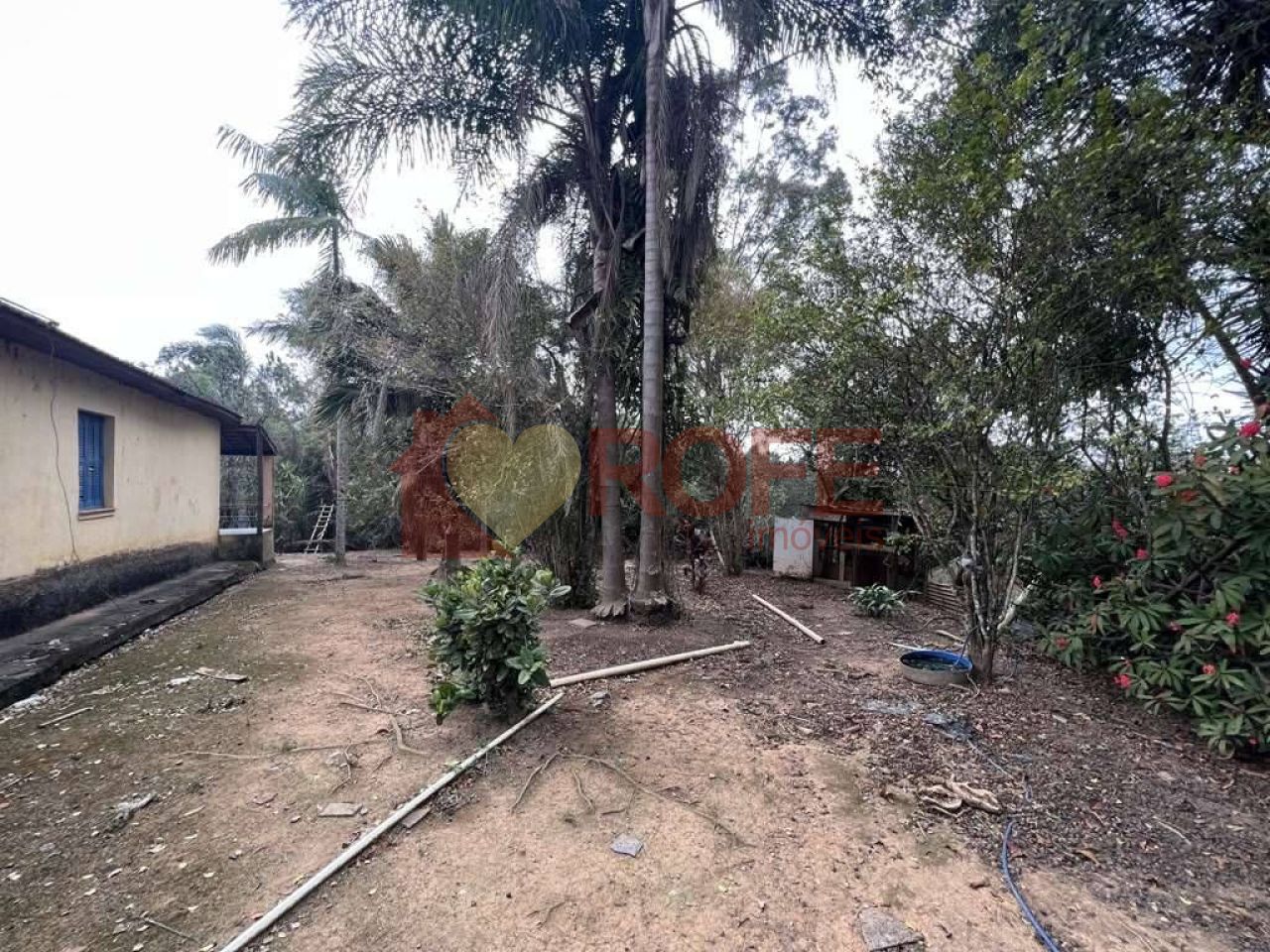 Foto 20 - RF33735
