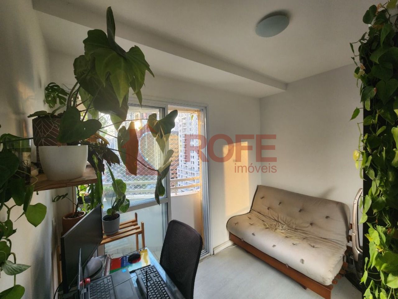 Foto 26 - RF33923