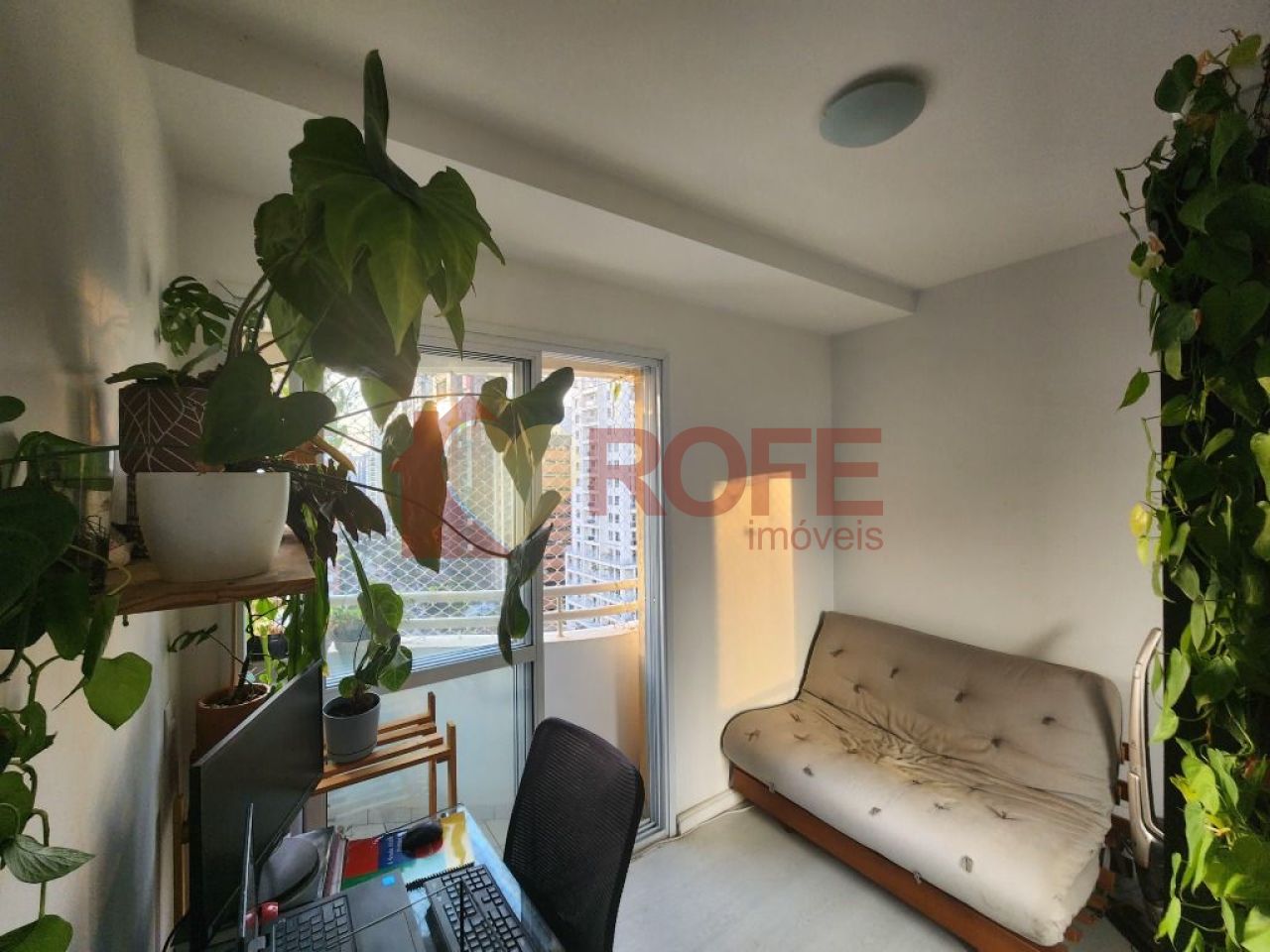Foto 29 - RF33923