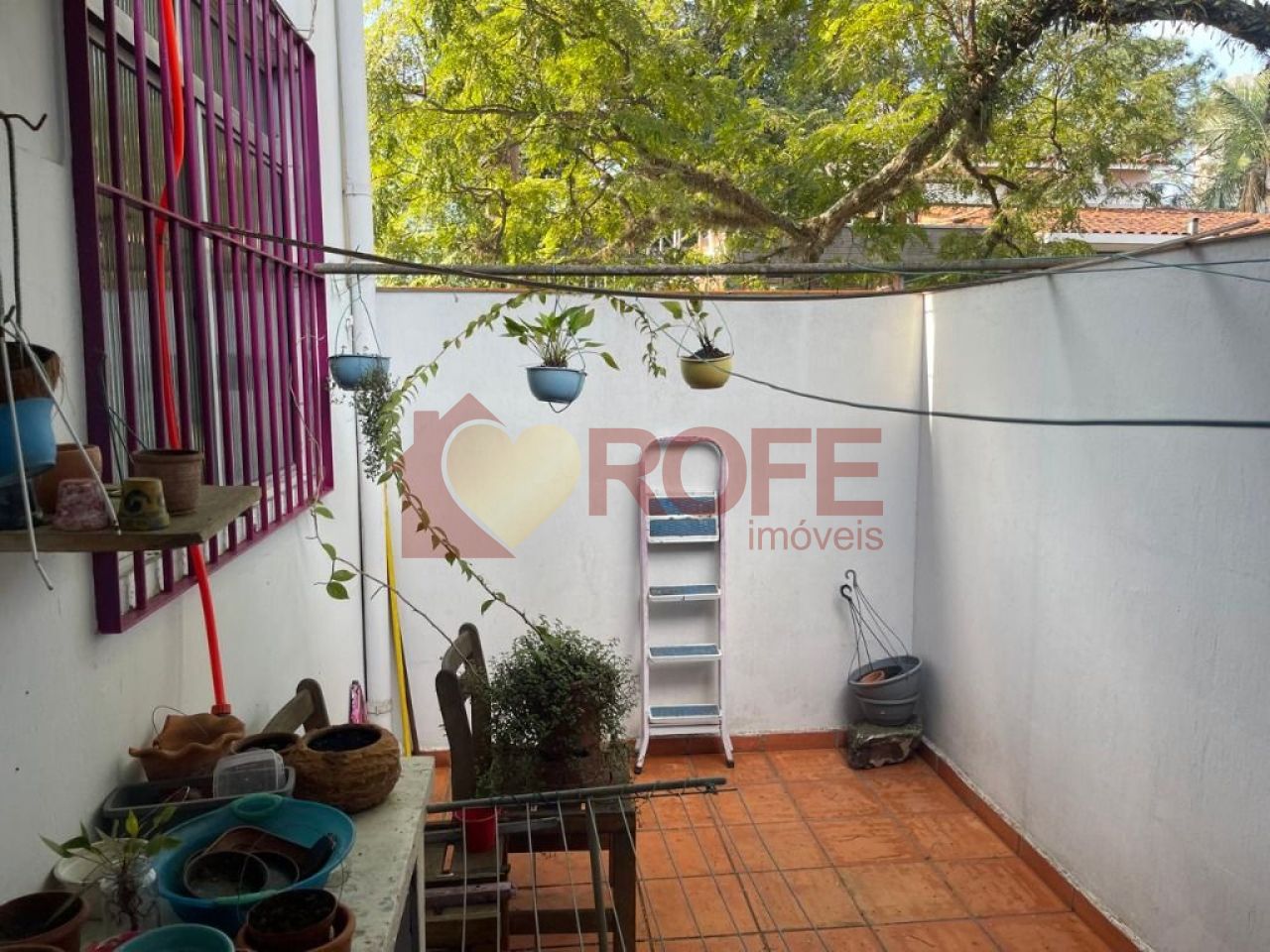 Foto 16 - RF35046