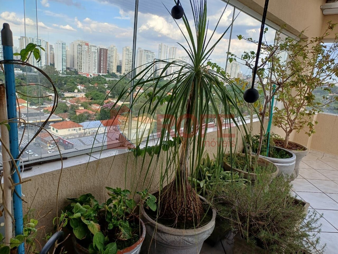 Foto 33 - RF35406