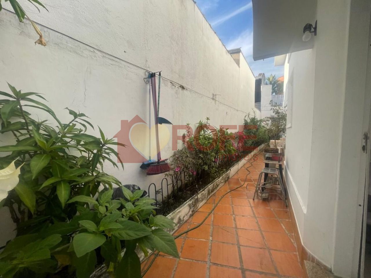 Foto 3 - RF35921