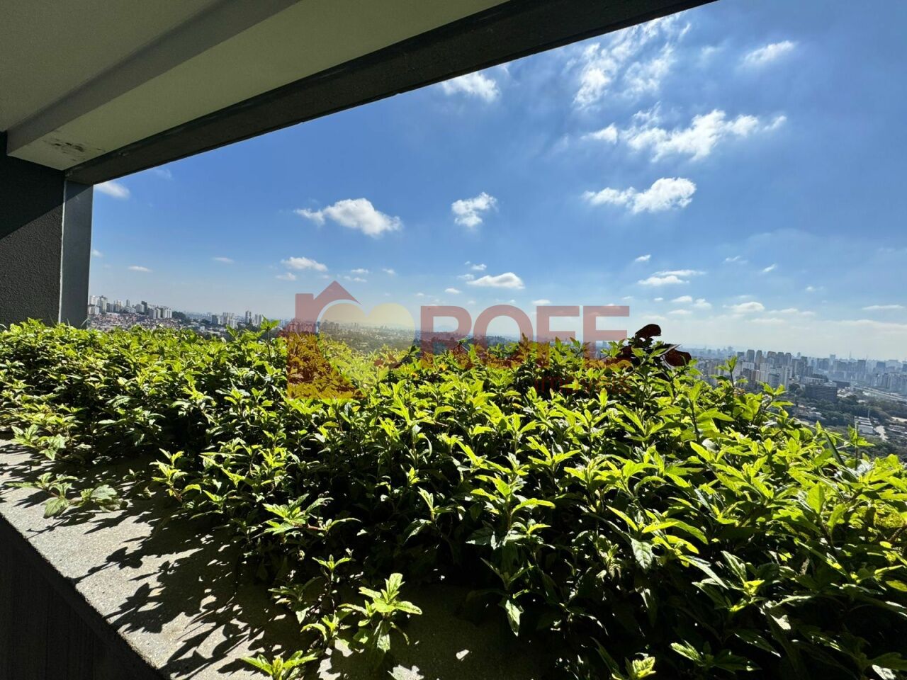 Foto 2 - RF36466