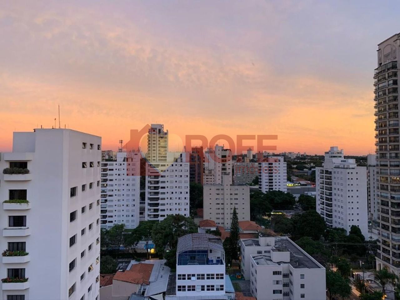 Foto 14 - RF36891