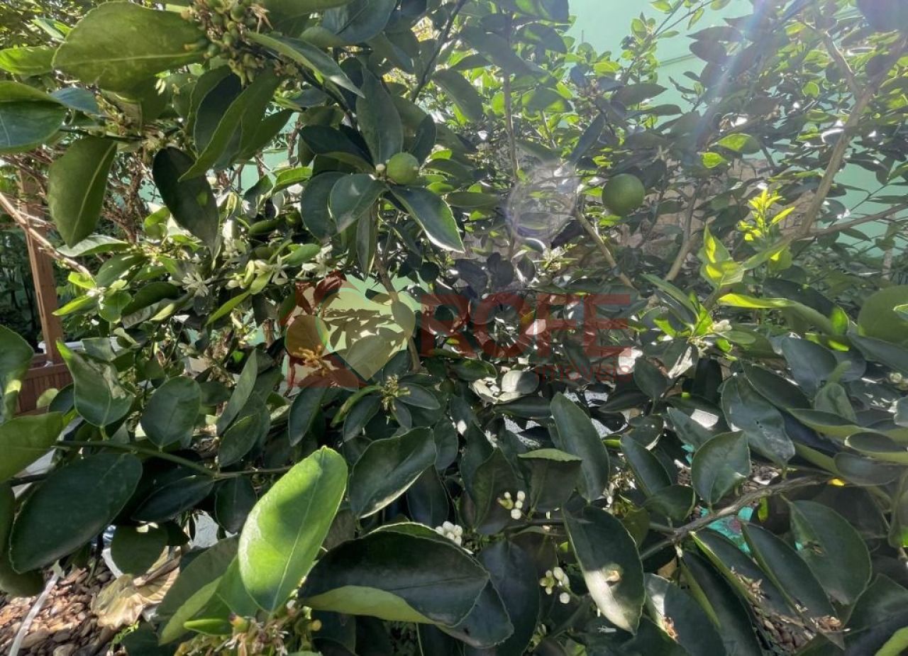 Foto 95 - RF36991