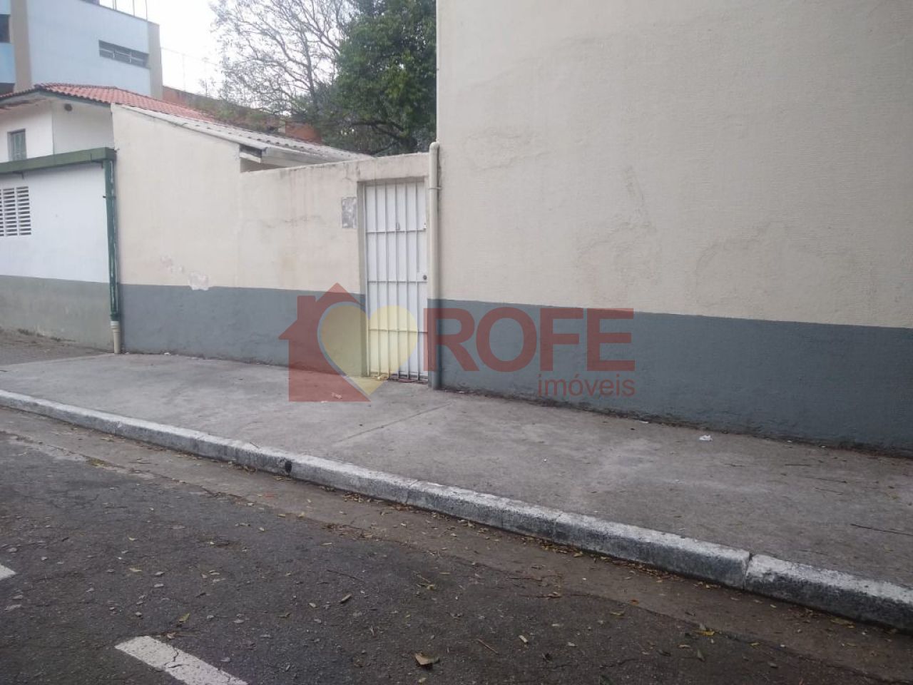 Foto 3 - RF37574