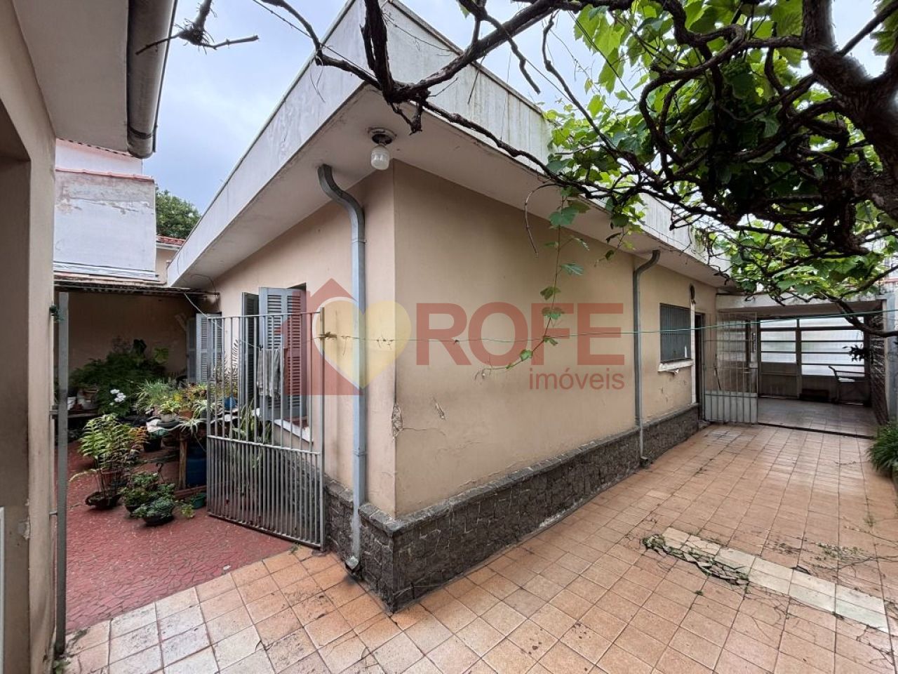 Foto 34 - RF37852