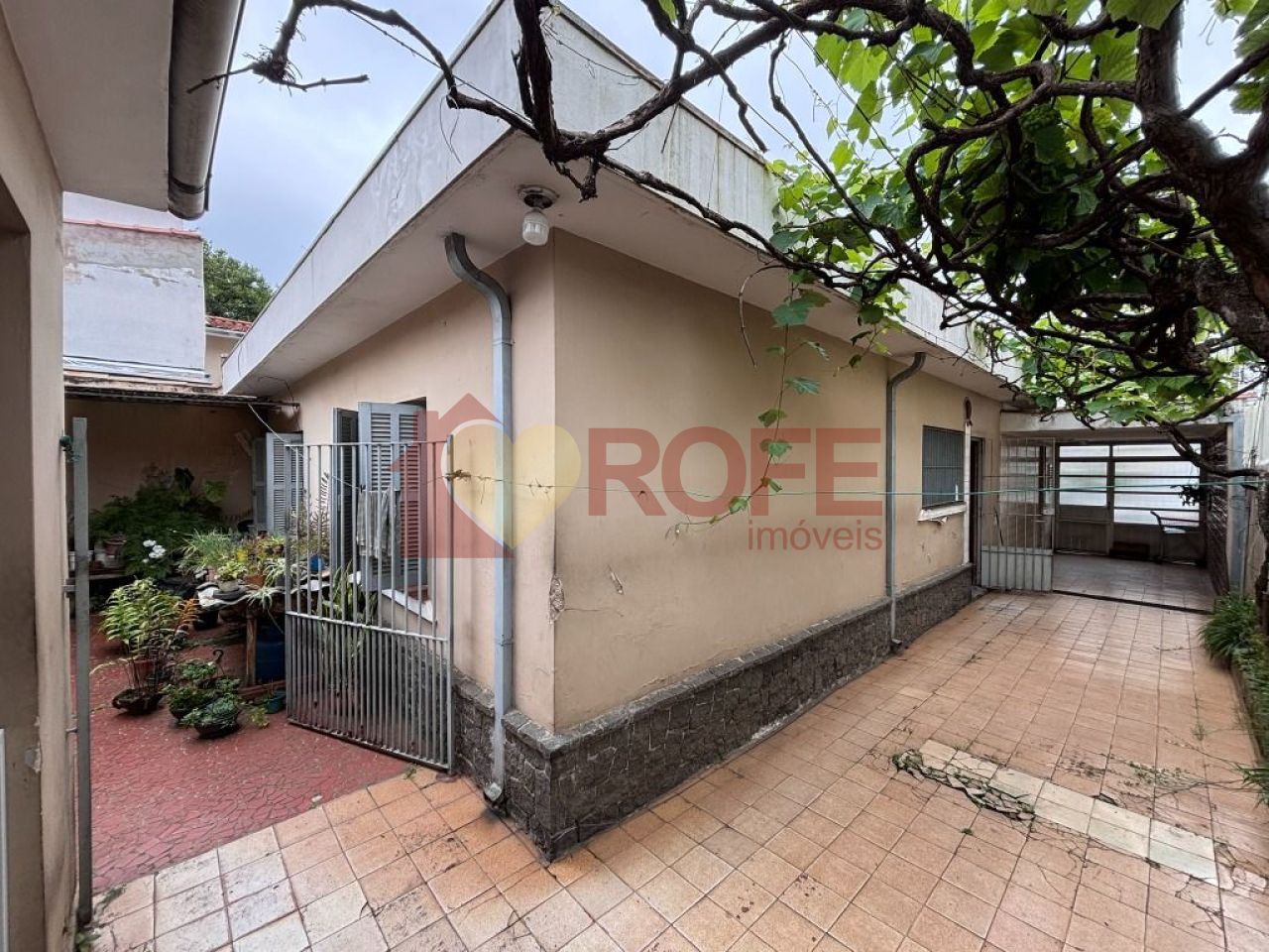 Foto 35 - RF37852