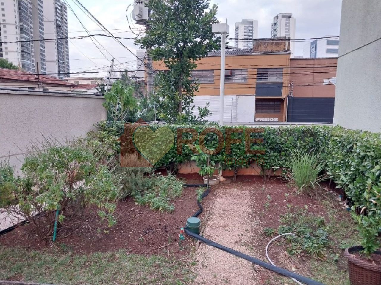 Foto 63 - RF38512