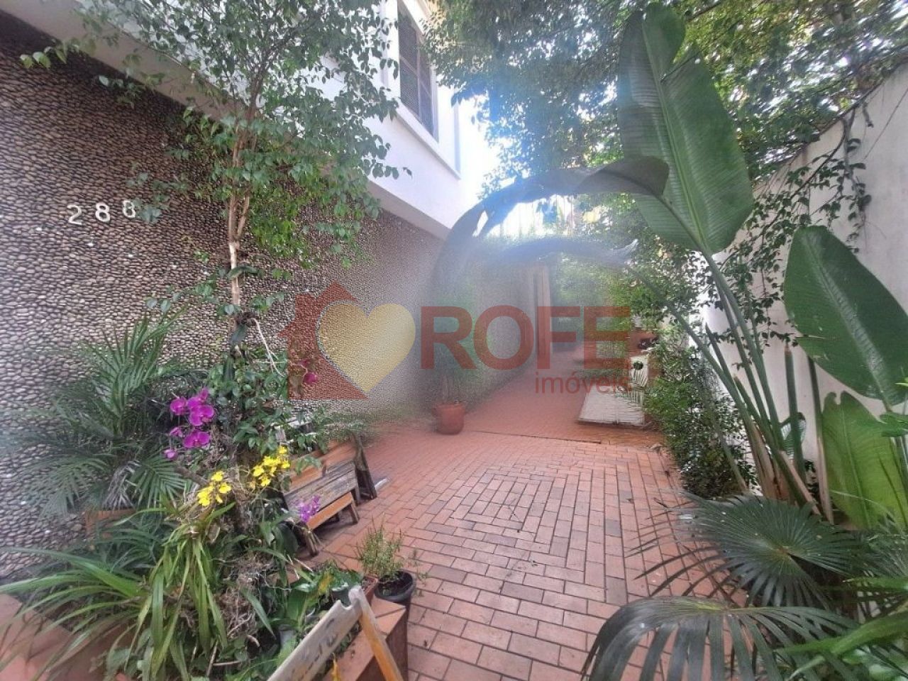 Foto 29 - RF38574
