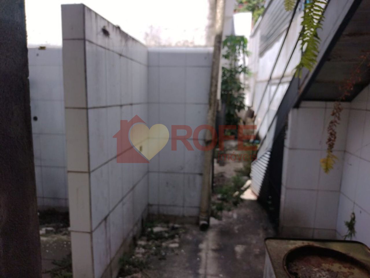 Foto 9 - RF38780