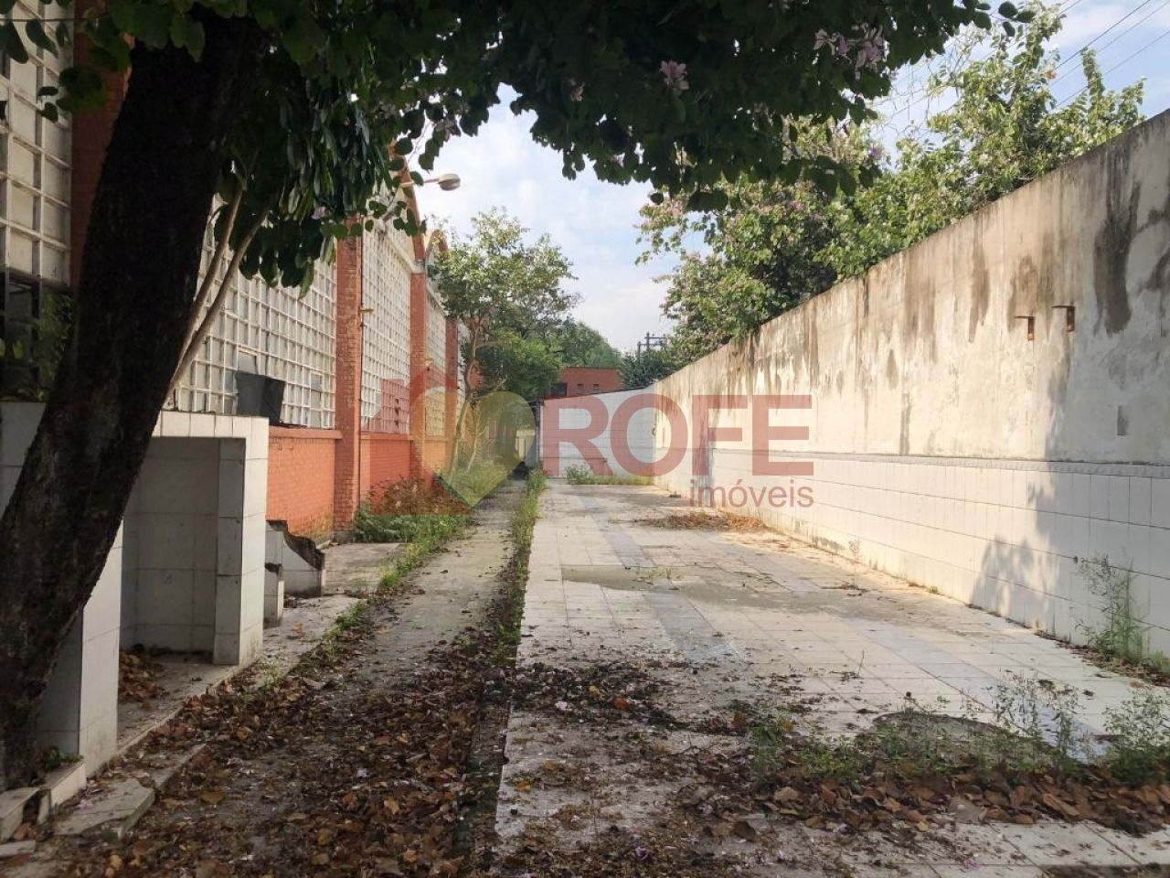 Foto 4 - RF40243