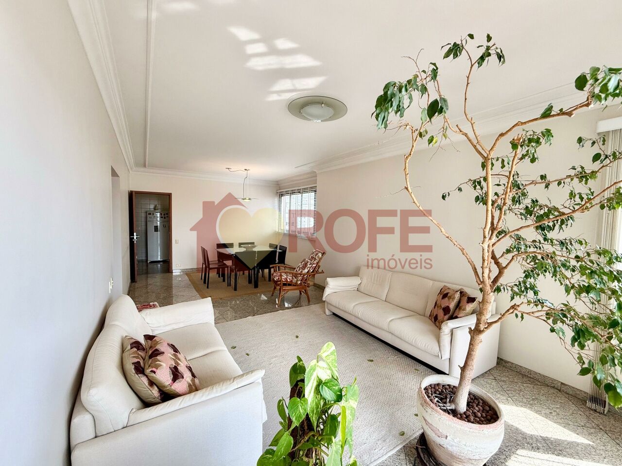Foto 4 - RF43309