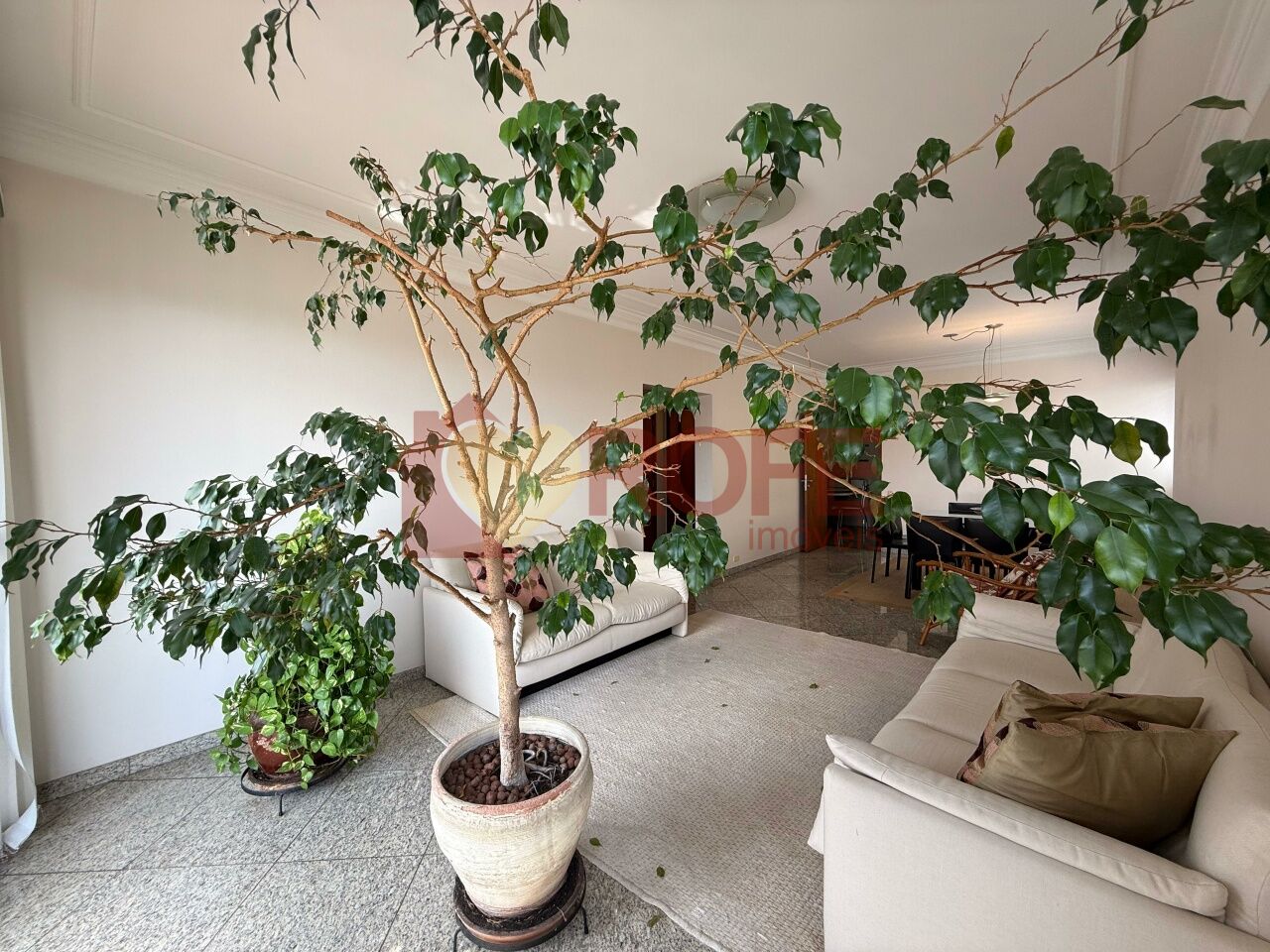 Foto 6 - RF43309