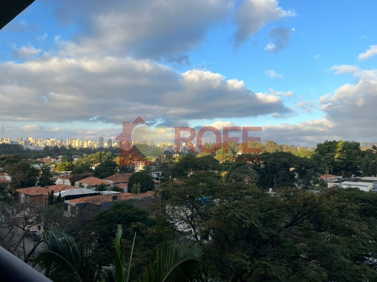 Foto 11 - RF43501
