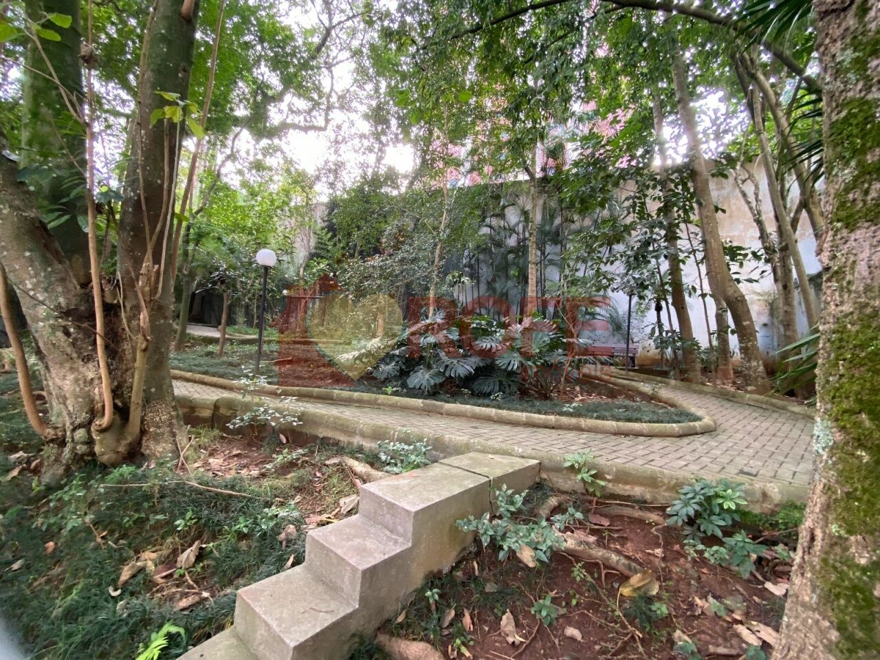 Foto 28 - RF44527