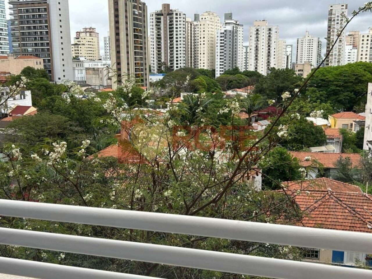 Vista