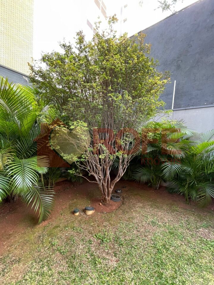 Foto 29 - RF45547