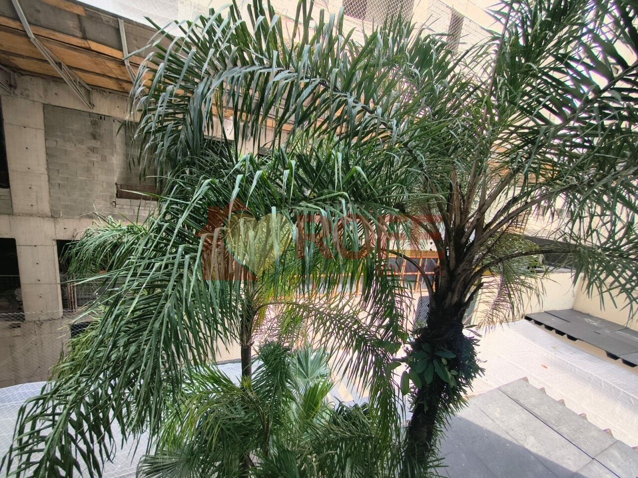 Foto 4 - RF46260