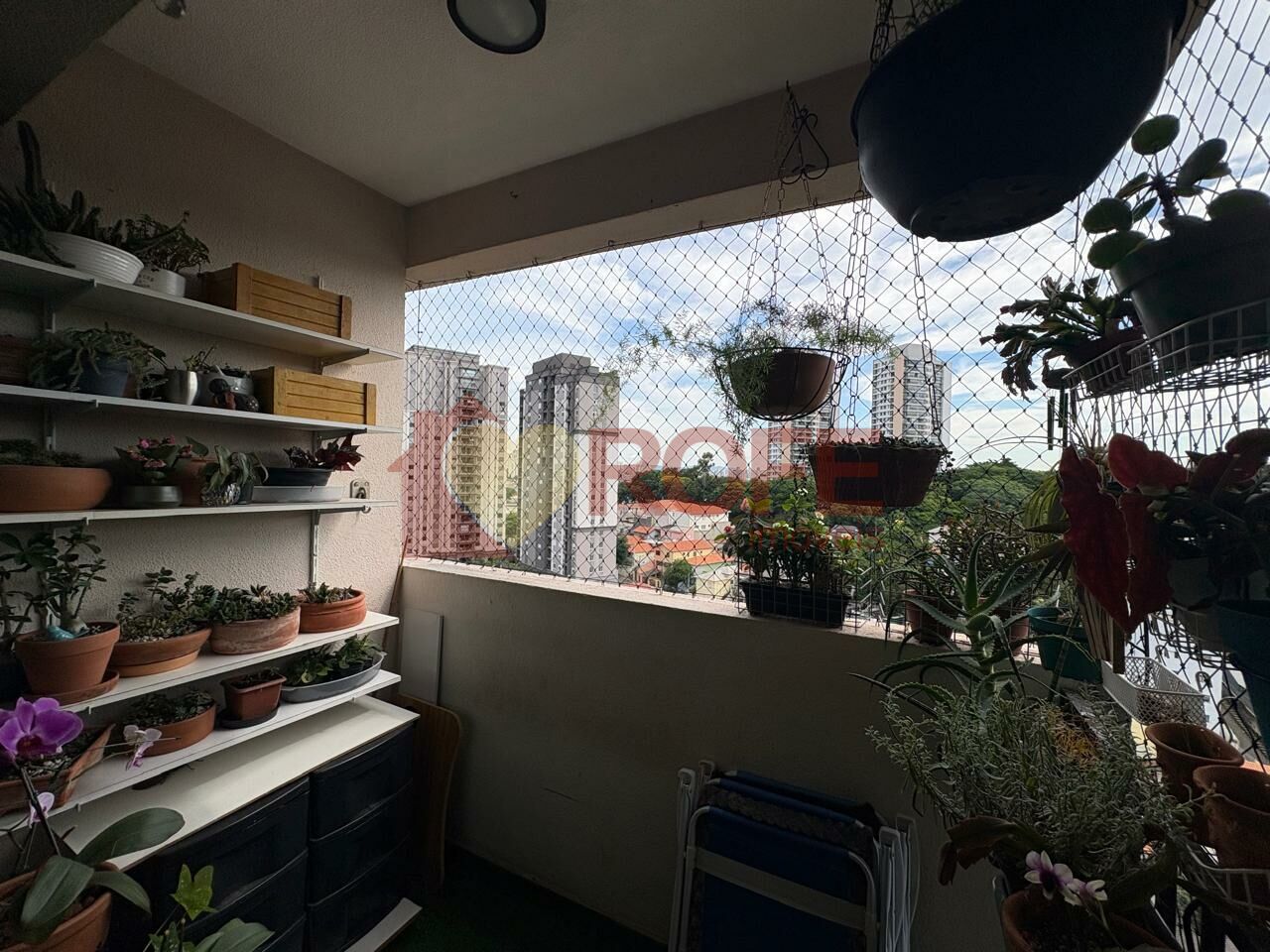 Foto 15 - RF46735