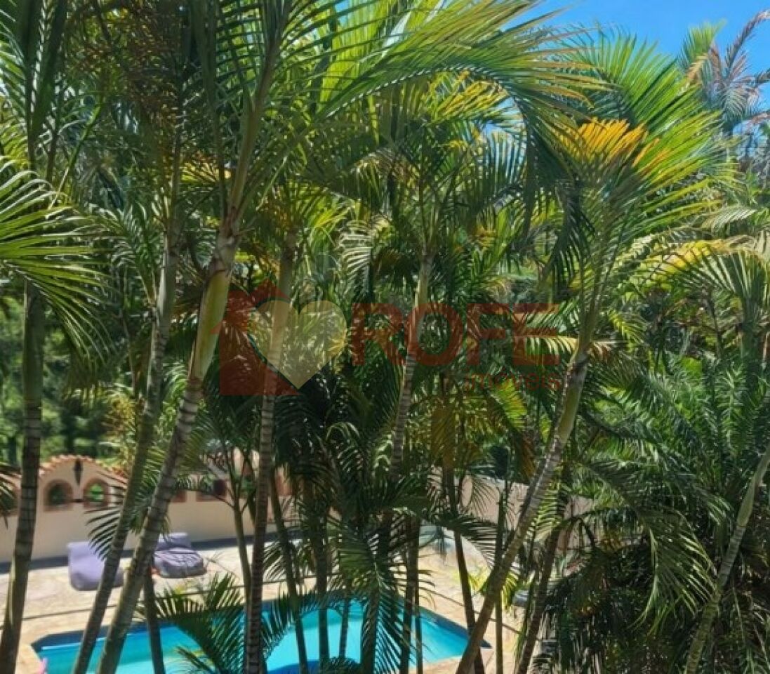 Foto 7 - RF46834