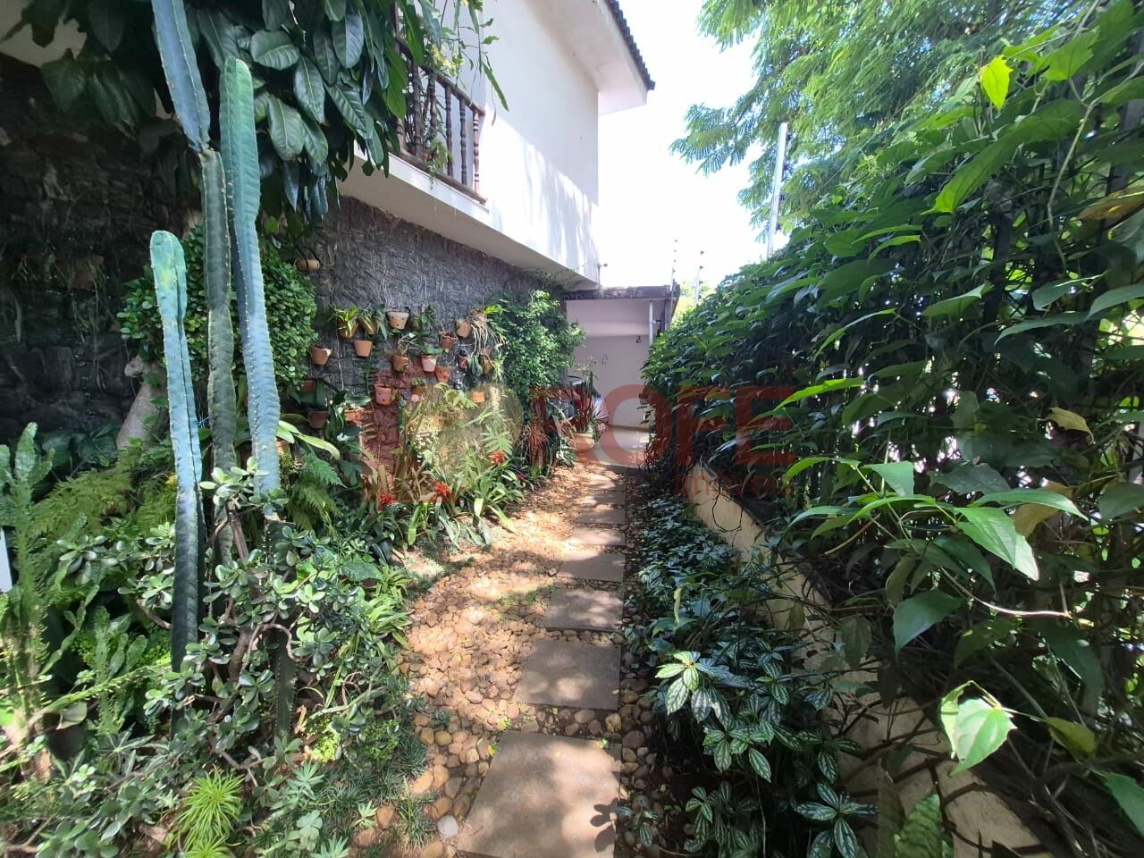 Foto 3 - RF46974
