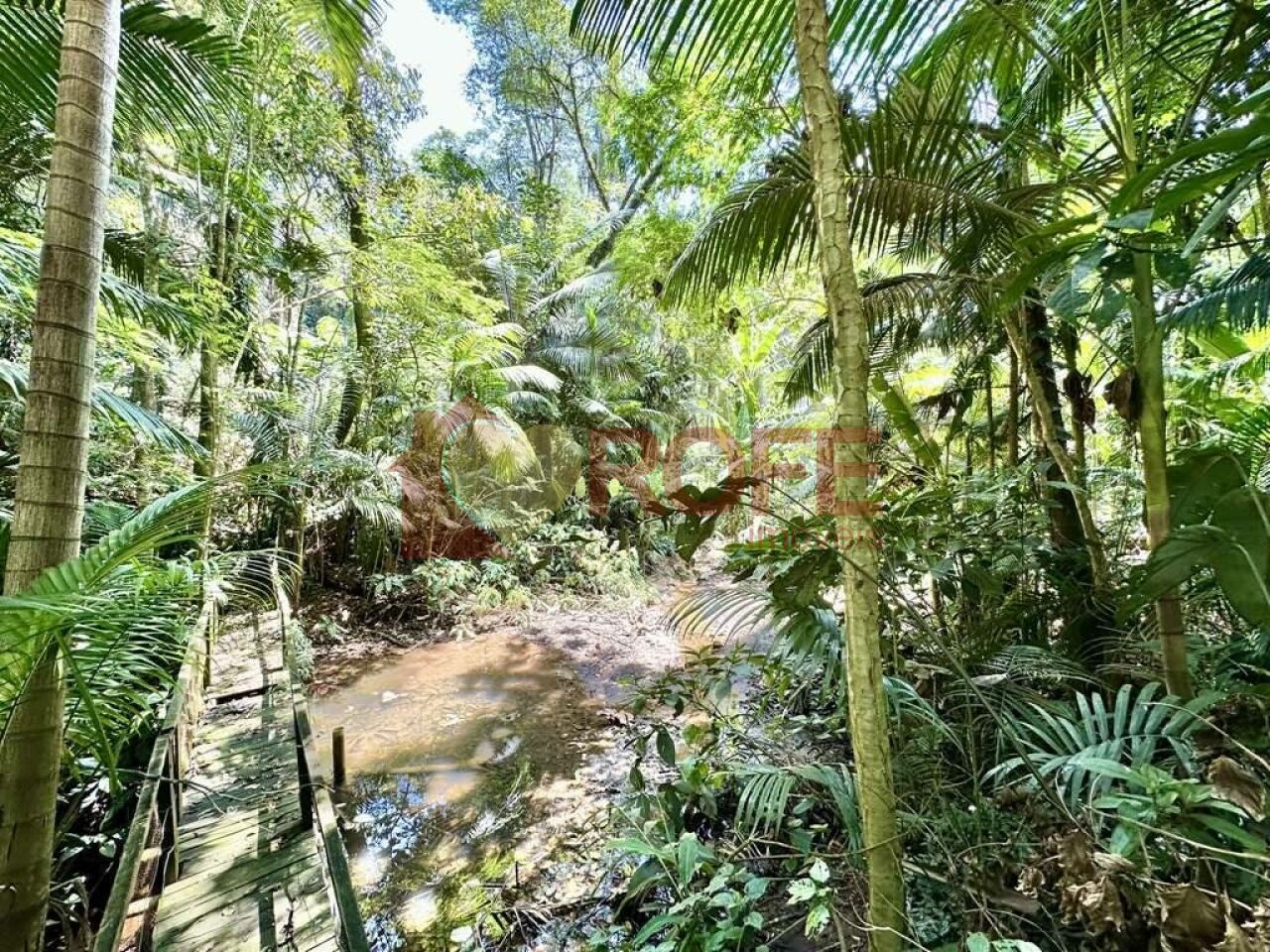 Foto 33 - RF47390