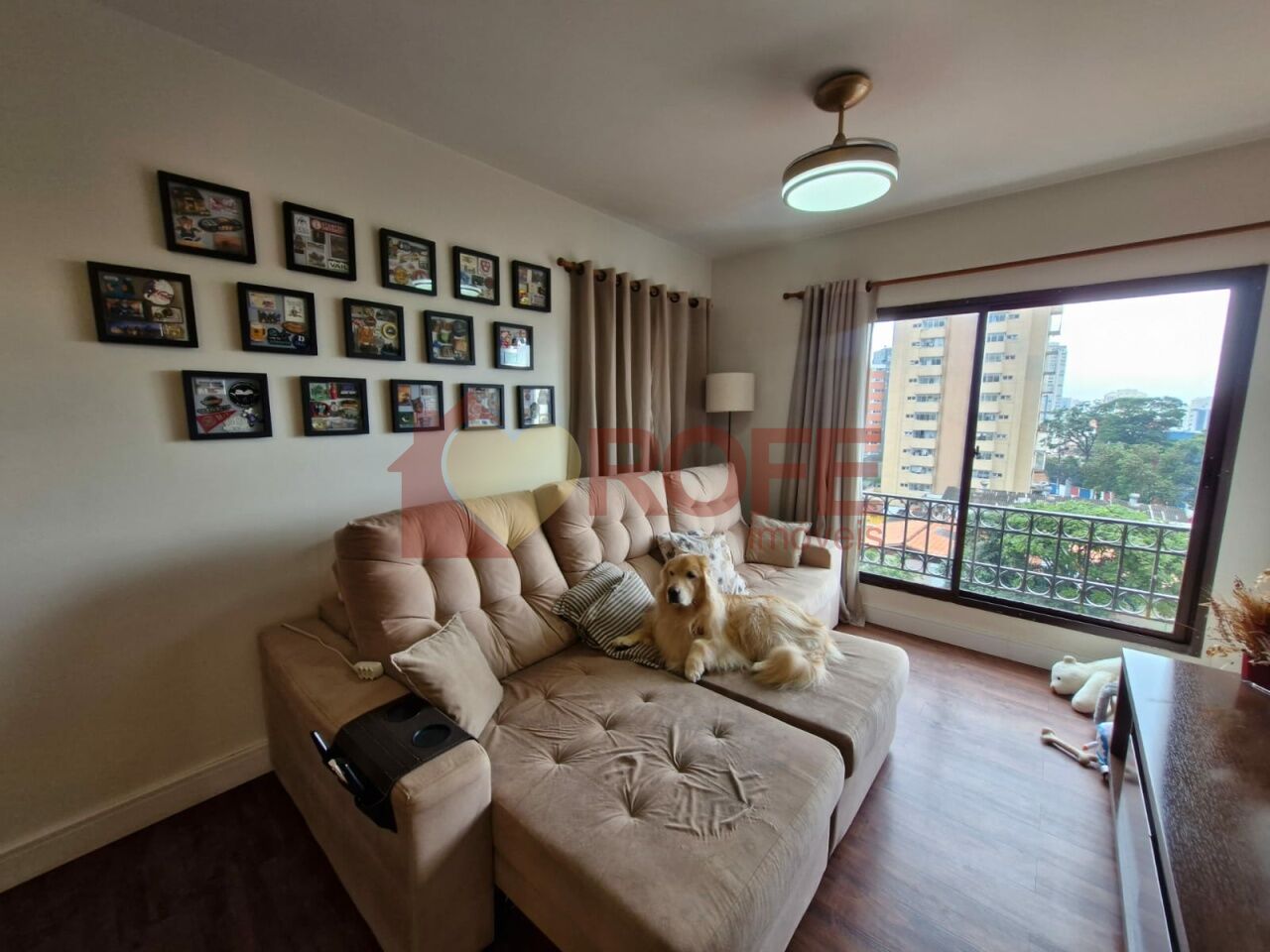 Foto 9 - RF47404