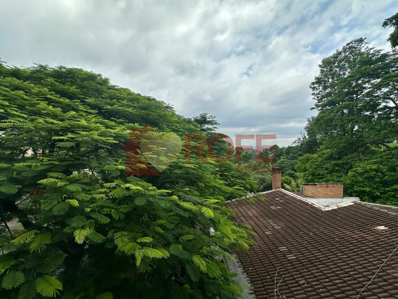 Foto 4 - RF47408