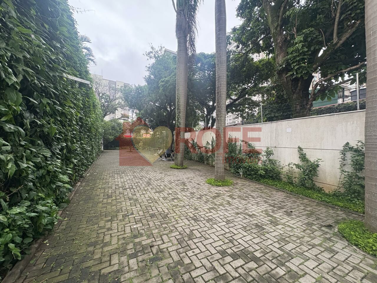 Foto 28 - RF47417