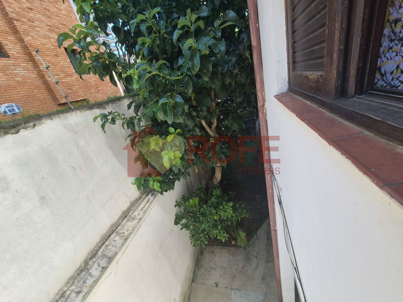 Foto 3 - RF47646