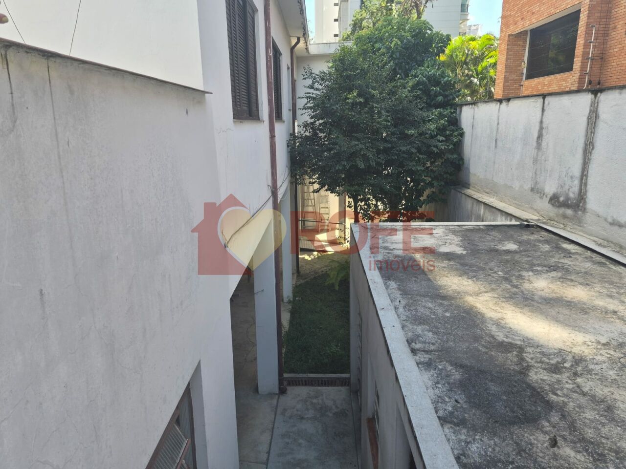 Foto 6 - RF47646
