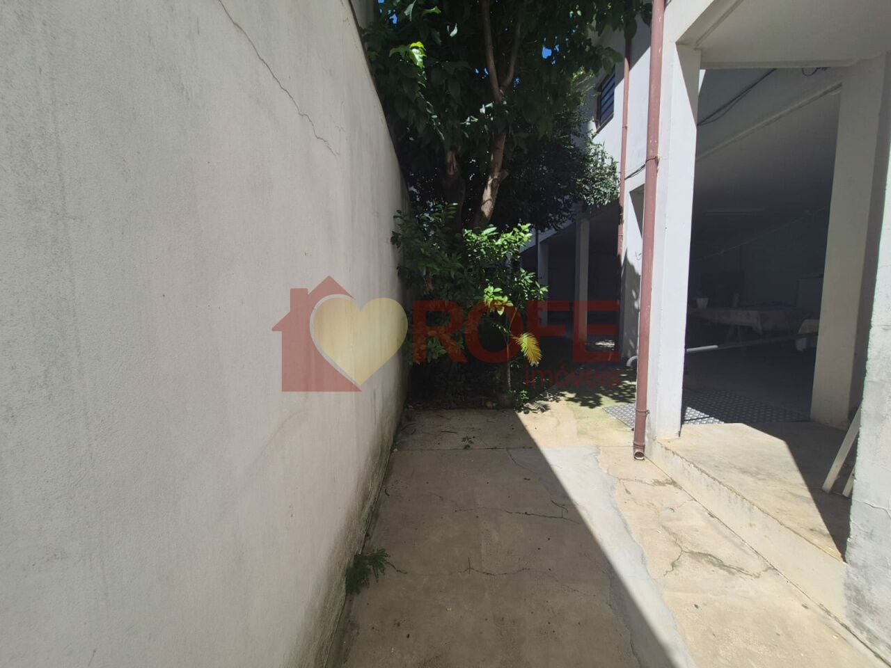 Foto 8 - RF47646
