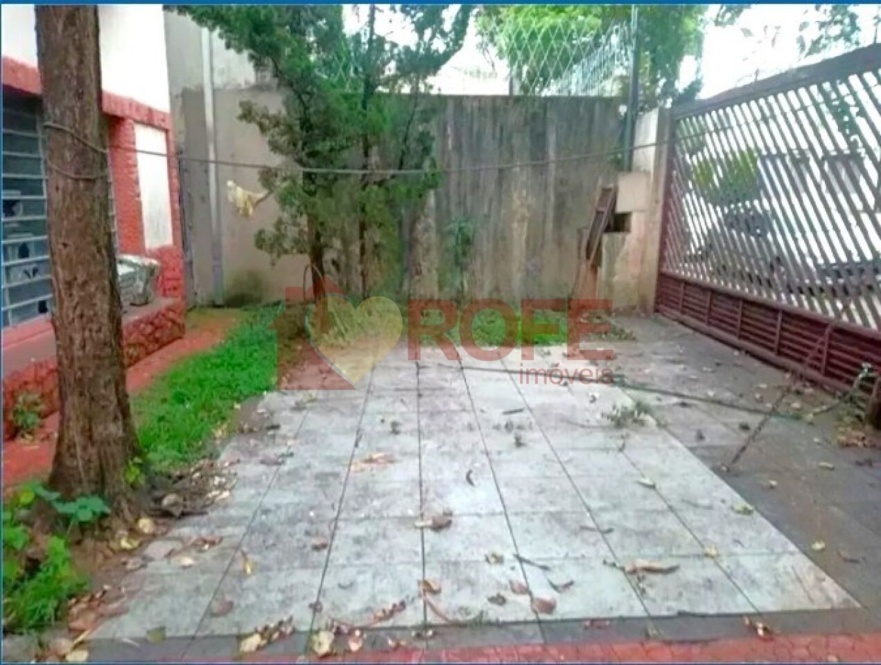 Foto 2 - RF49254