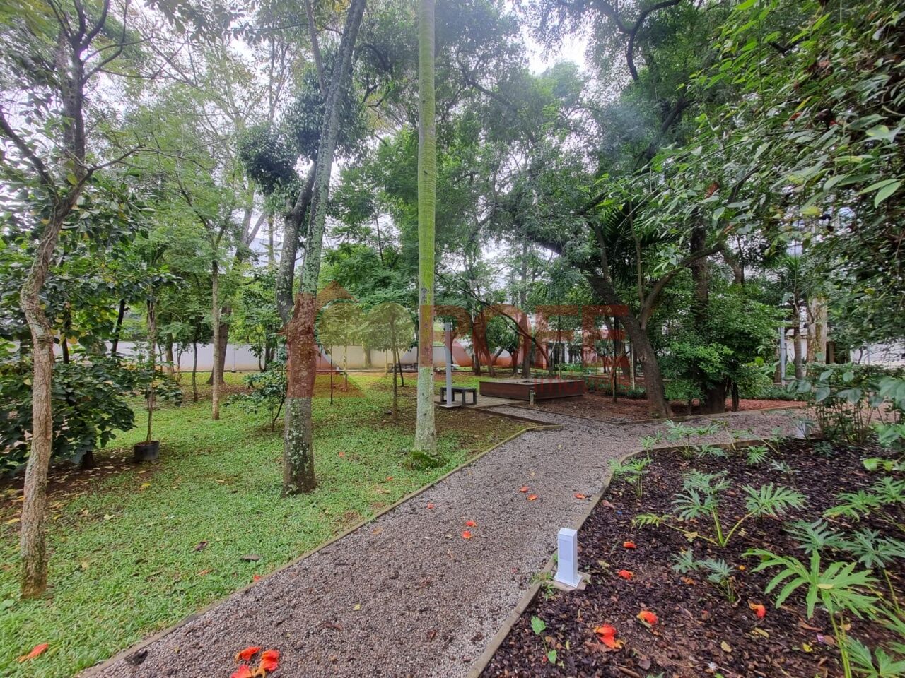 Foto 27 - RF49381