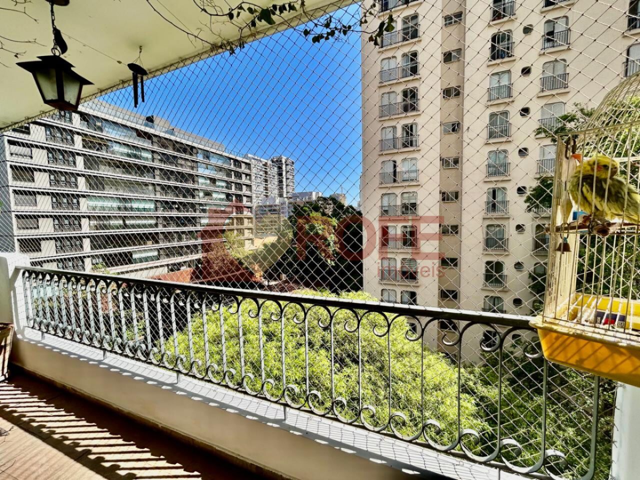 Foto 4 - RF49921