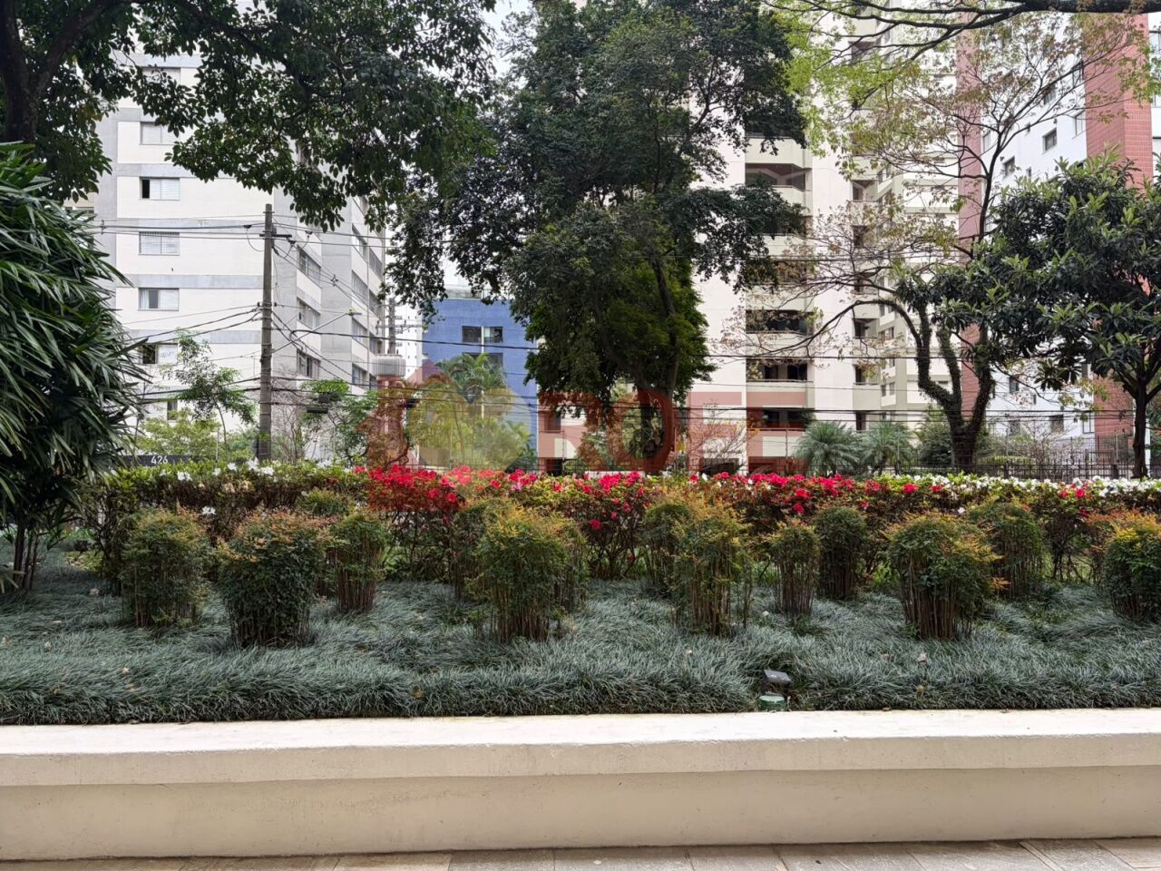 Foto 33 - RF50177