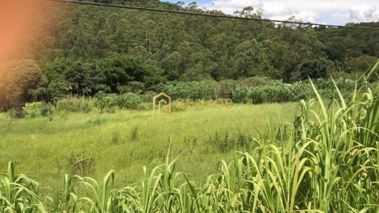 Area para Venda - Sítio do Mursa