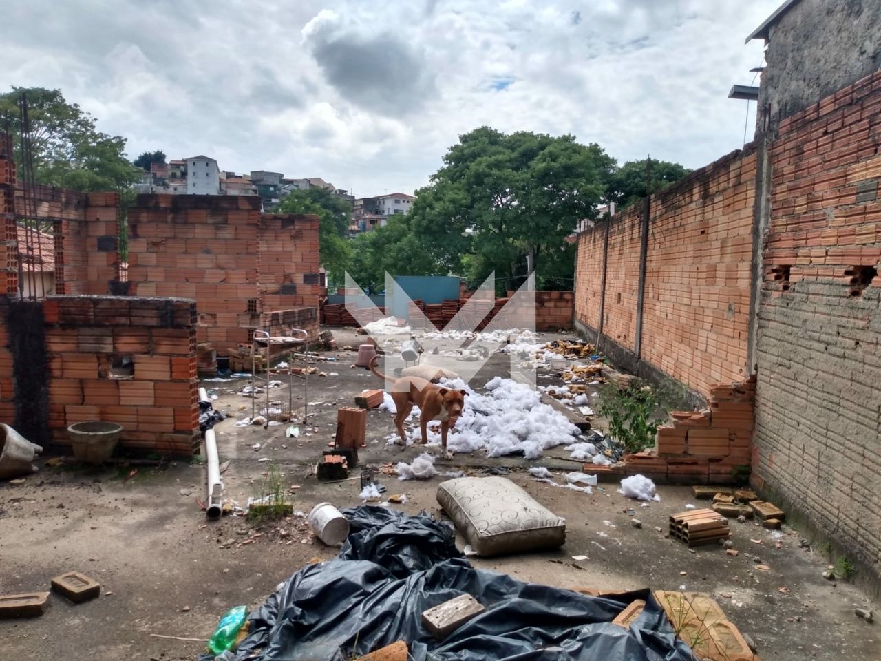 Terreno para Venda - Vila Maria Alta
