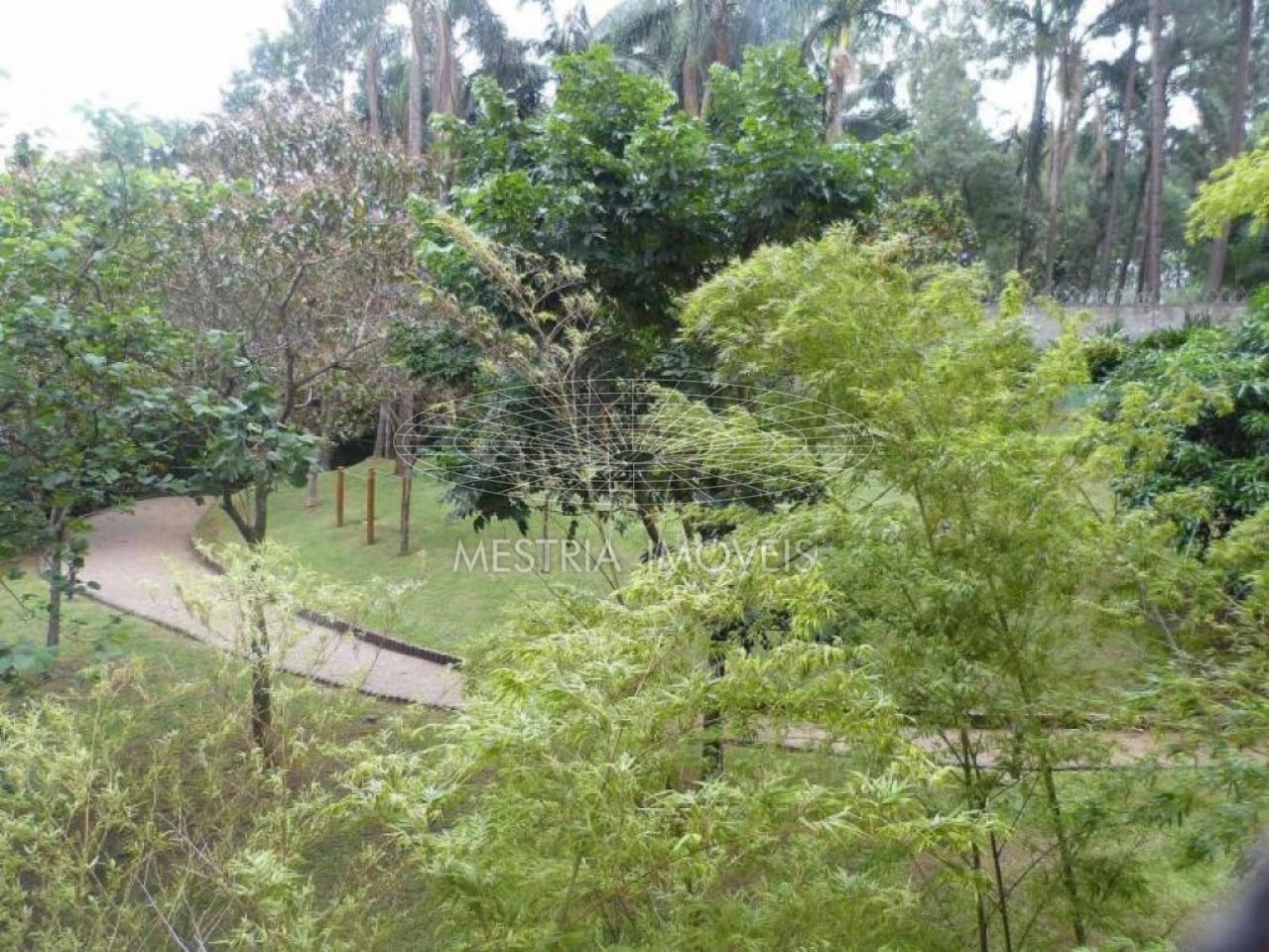 Foto 30 :: DI15063