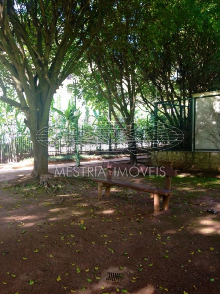Foto 30 :: DI15516