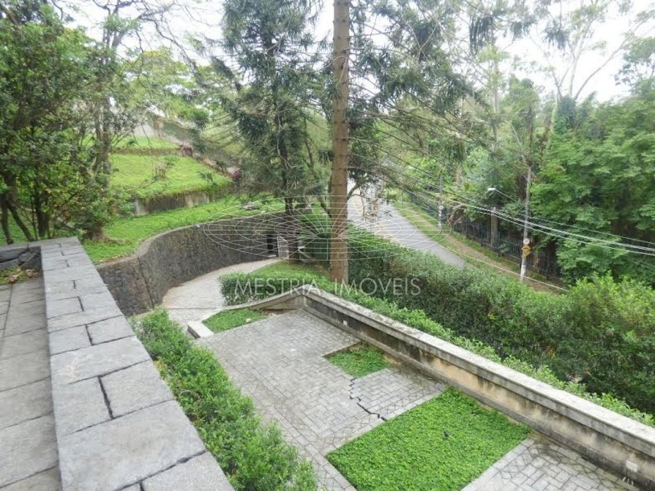 Foto 5 :: DI16695