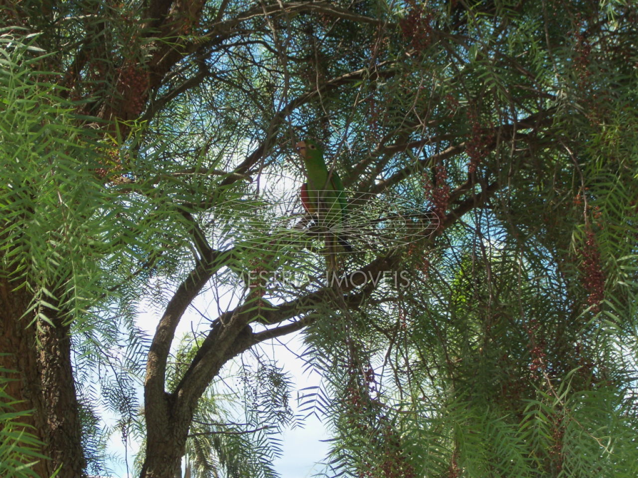 Foto 5 :: DI33941