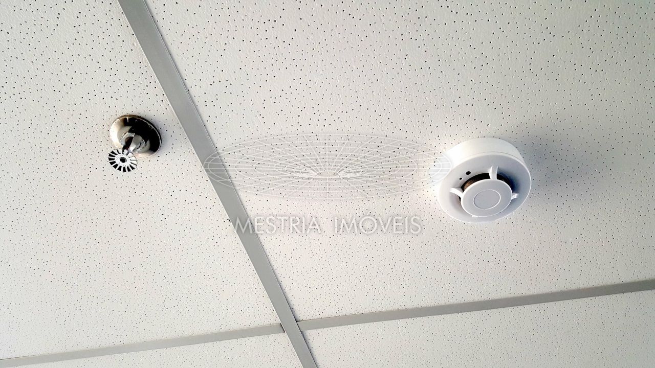 Foto 12 :: DI35621