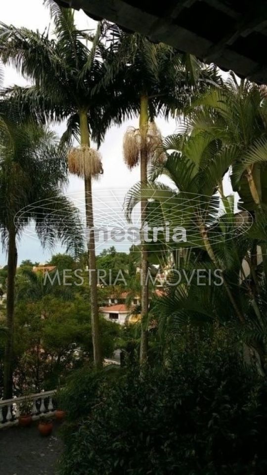 Foto 8 :: DI40493