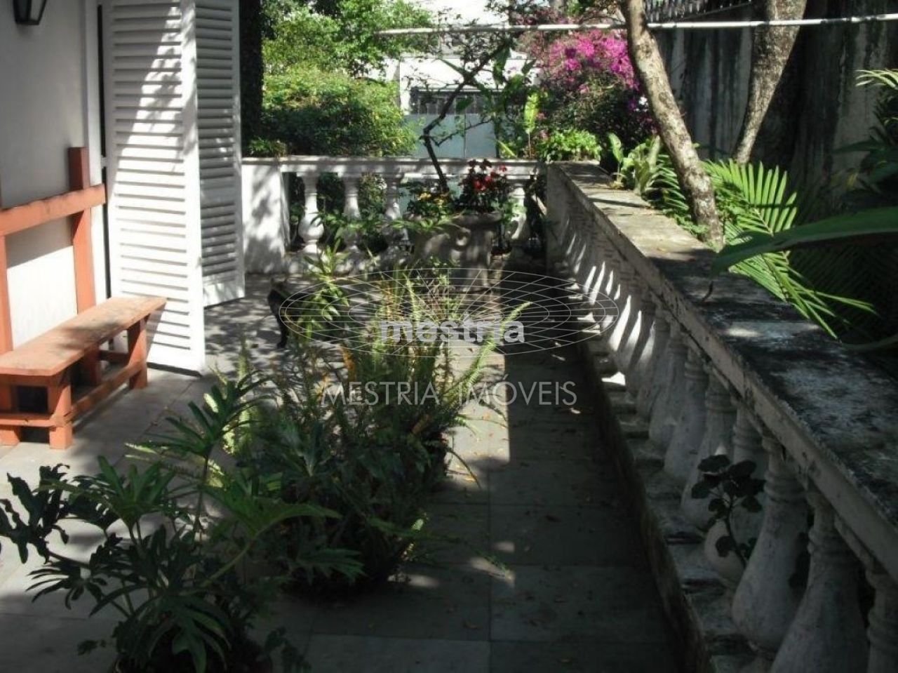 Foto 19 :: DI40493