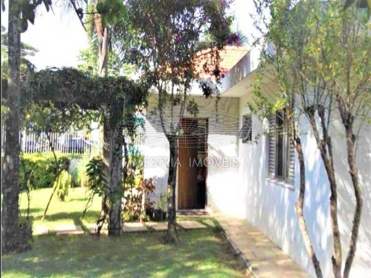 Foto 2 :: DI48752